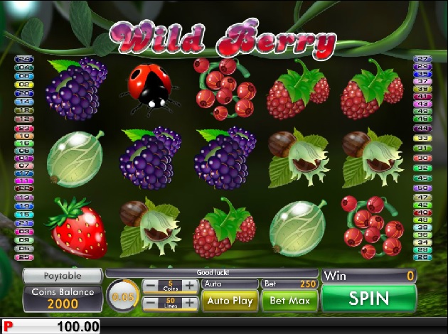 wild-berry-slots-game-screenshot-psl