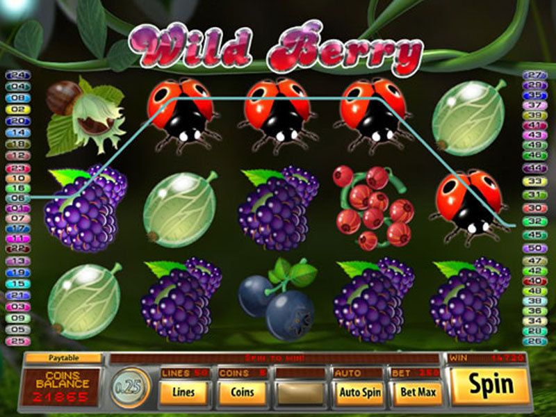 wild-berry-50-line-slots-game-screenshot-hfp